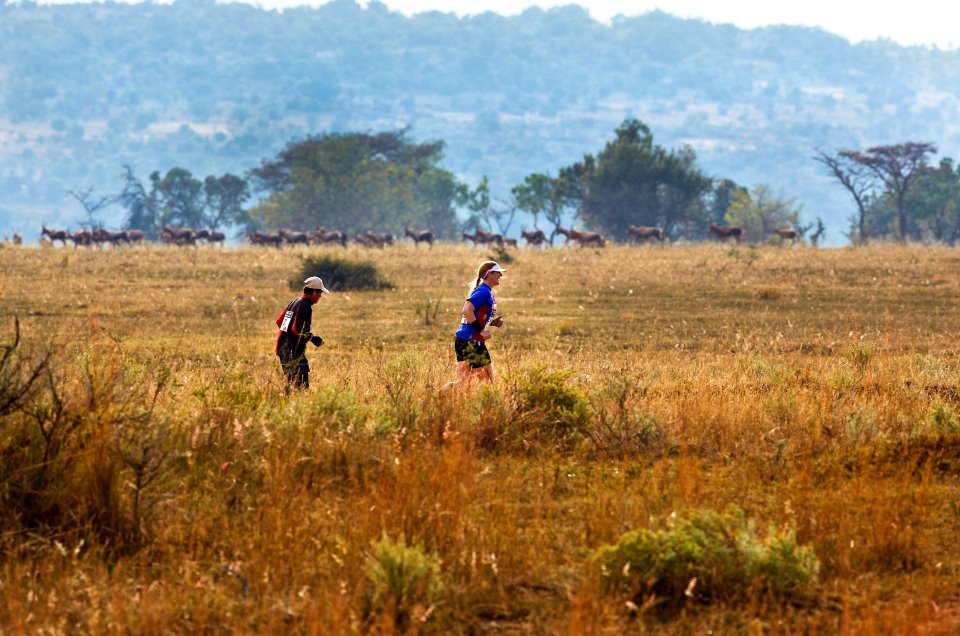 Les photos du Big Five Marathon