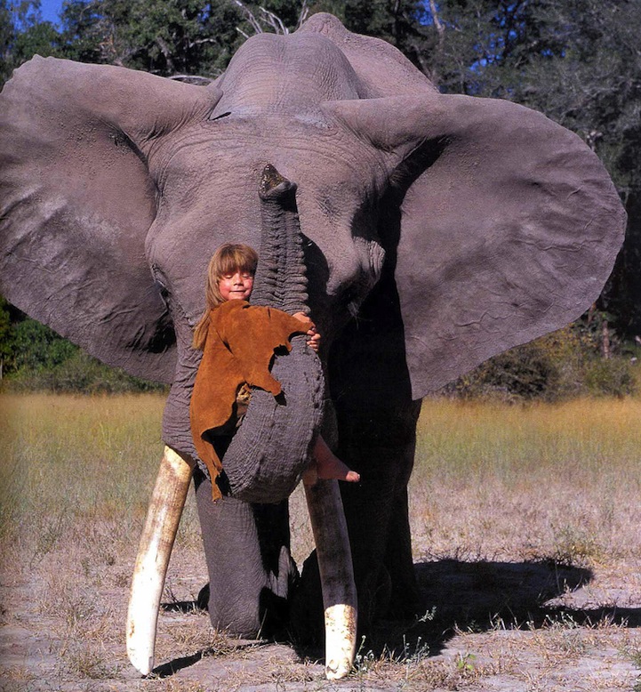 Tippi Degré et un éléphant d'Afrique
