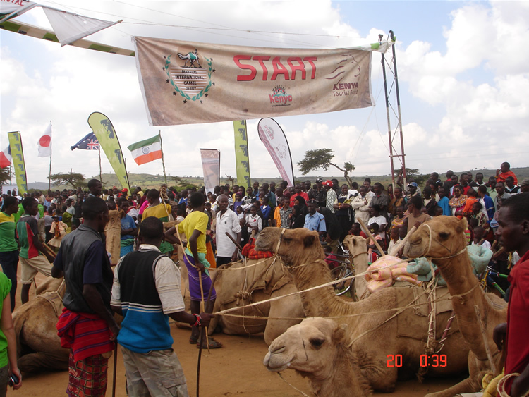 Que le plaisir et les jeux de chameau commencent