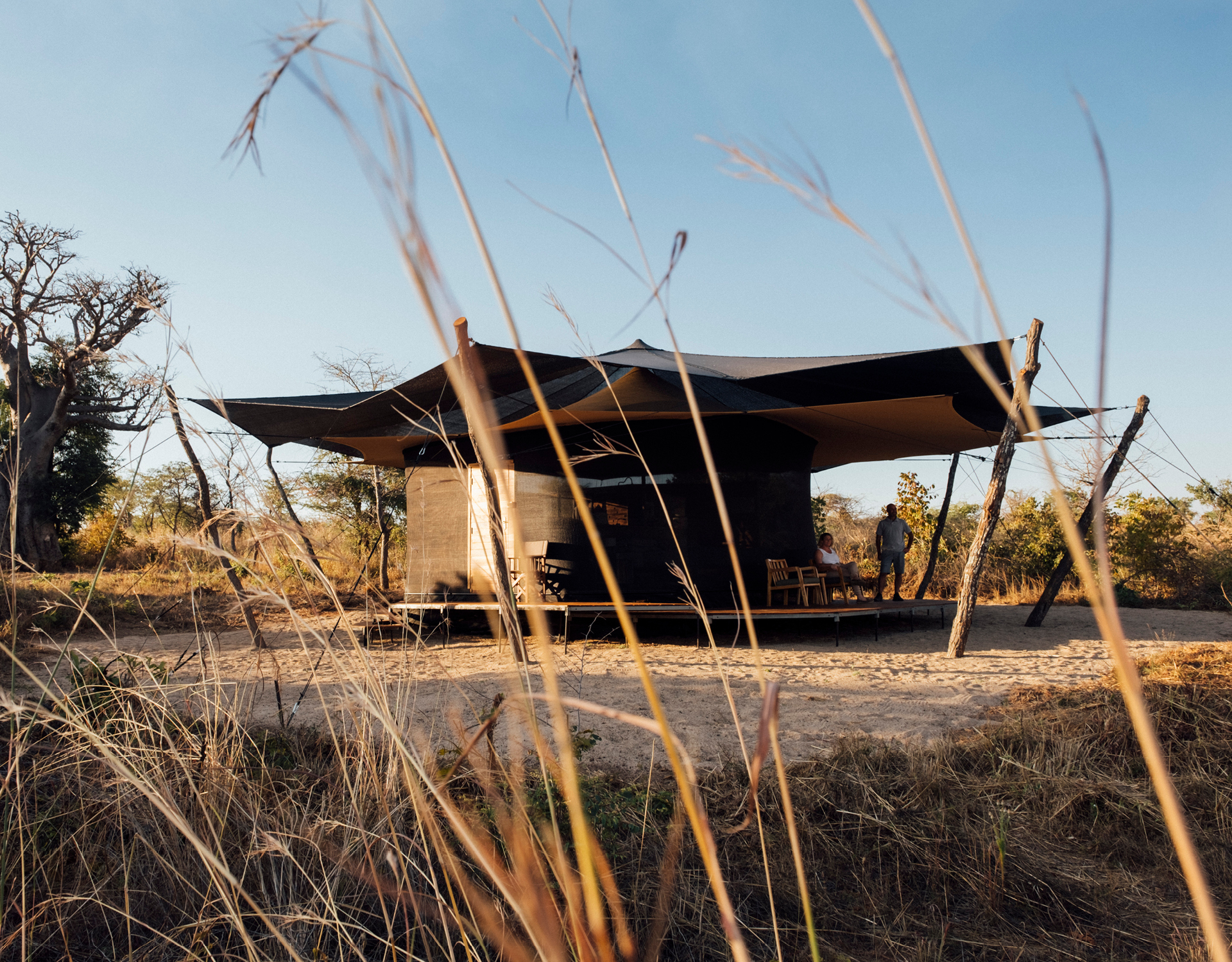 Usangu : Pourquoi la protection de cette zone humide est cruciale