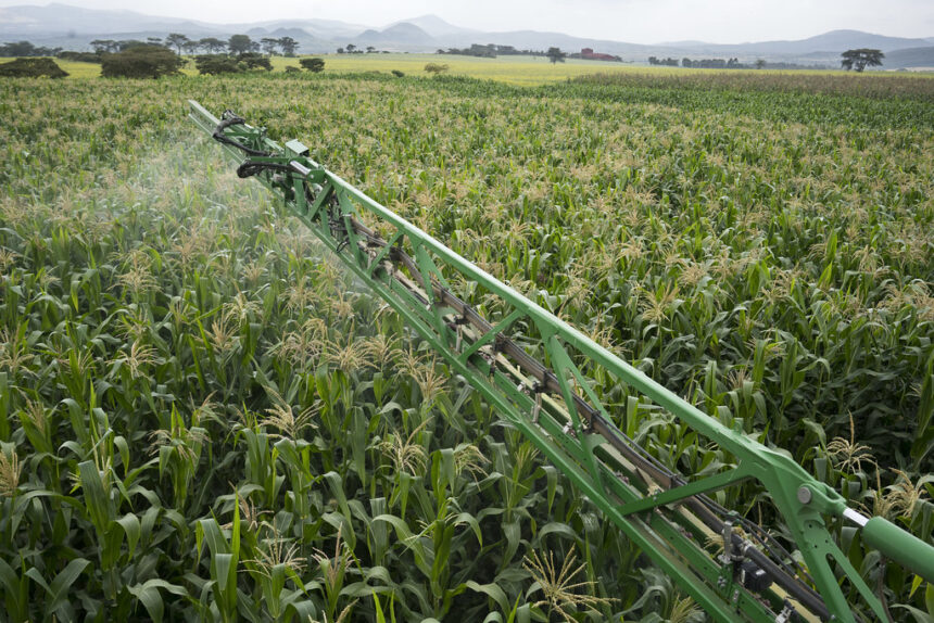 La Facilité africaine de production alimentaire d'urgence de la BAD est centrée sur l'expansion d'un modèle industriel d'agriculture centré sur la monoculture et l'utilisation d'engrais chimiques.  Crédit : CIMMYT/ Peter Lowe.