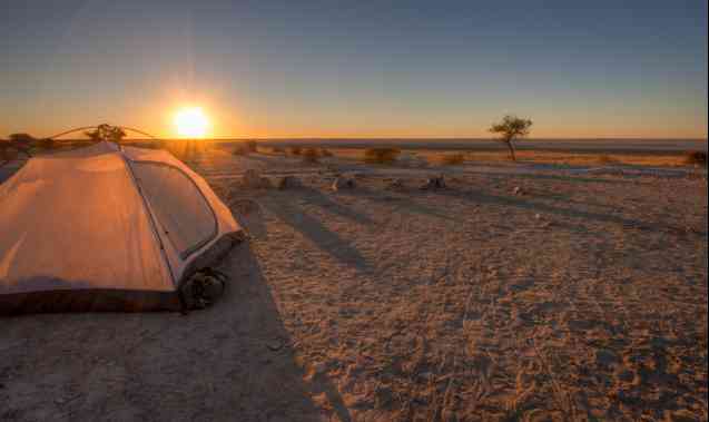 Désert du Kalahari vs Delta de l'Okavango : meilleure destination de safari au Botswana ?