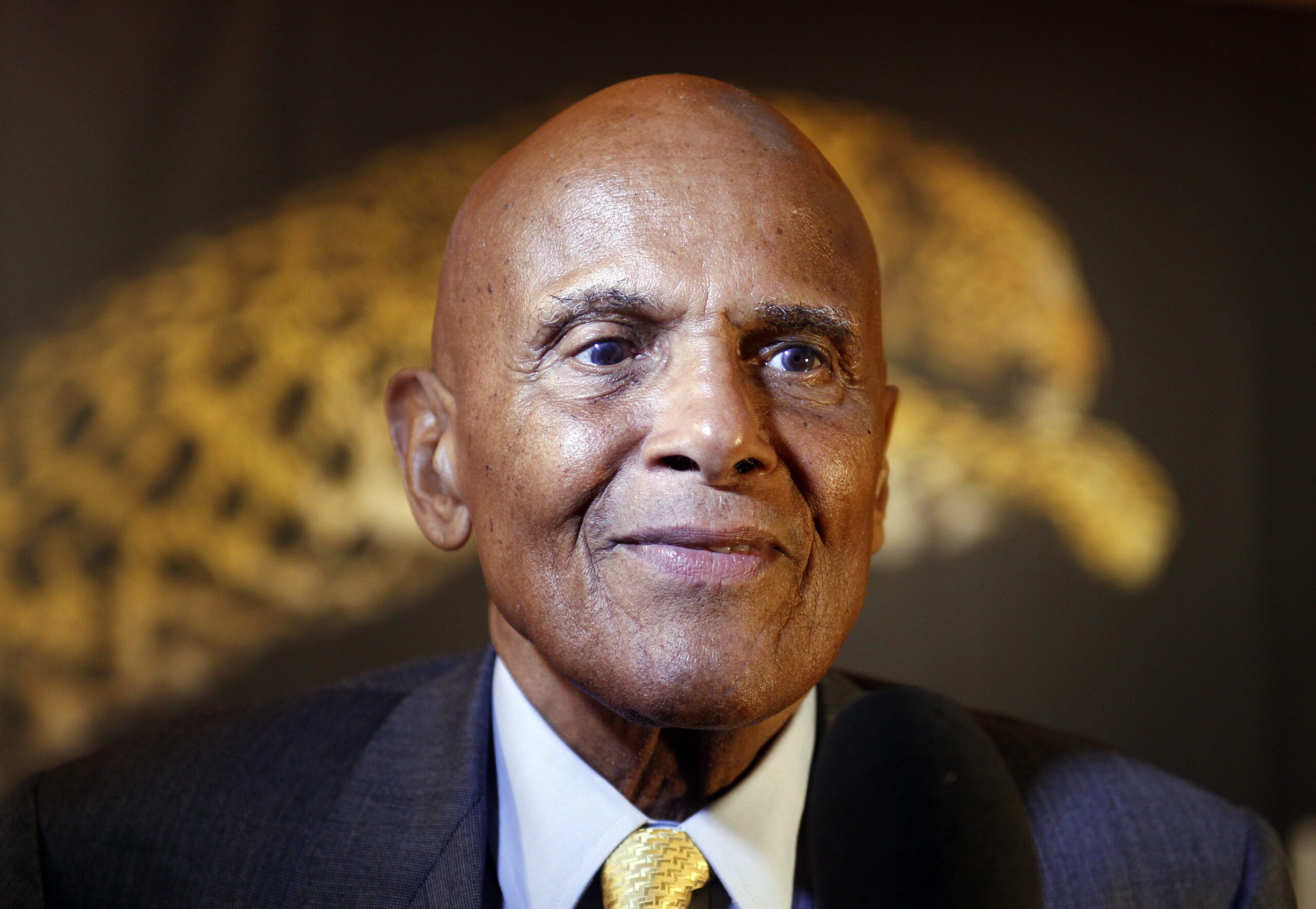 Harry Belafonte dans une image de 2012 à Locarno.