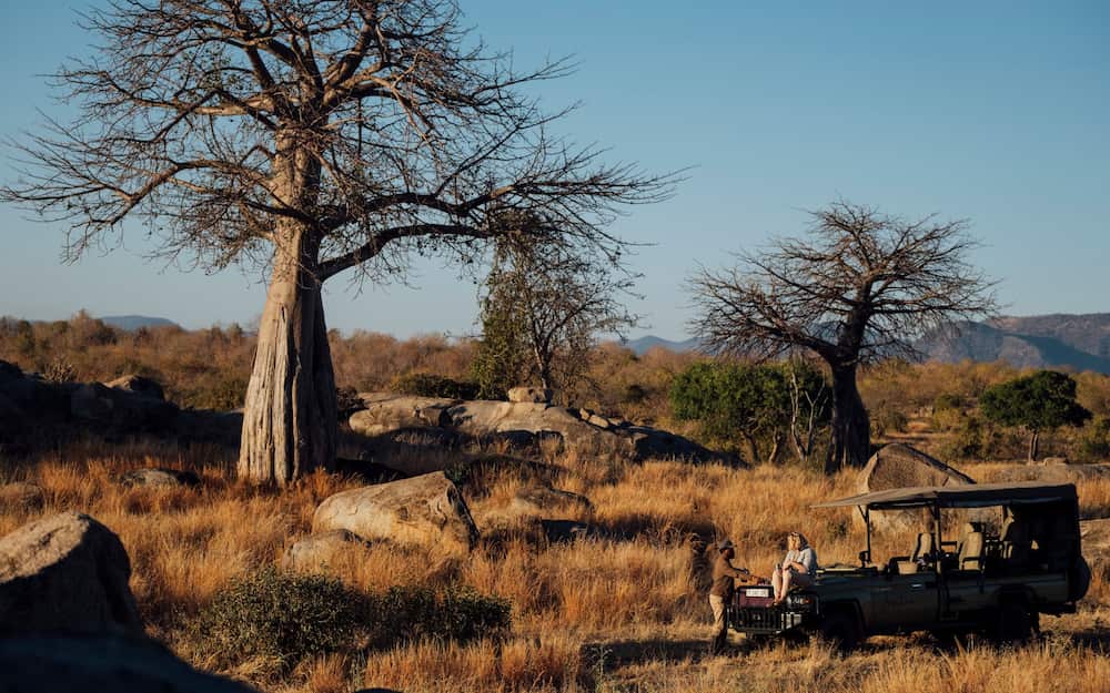 Le paysage du parc national de Ruaha est parsemé de baobabs.