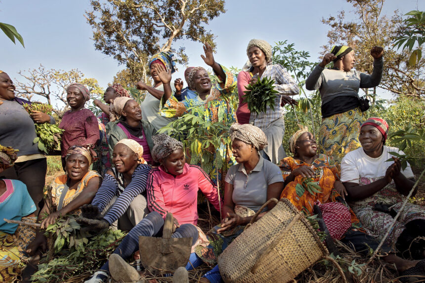 Système alimentaire africain.  Une coopérative agricole de femmes dans la commune de Yoko, au Cameroun.  Crédit : ONU Femmes/Ryan Brown.