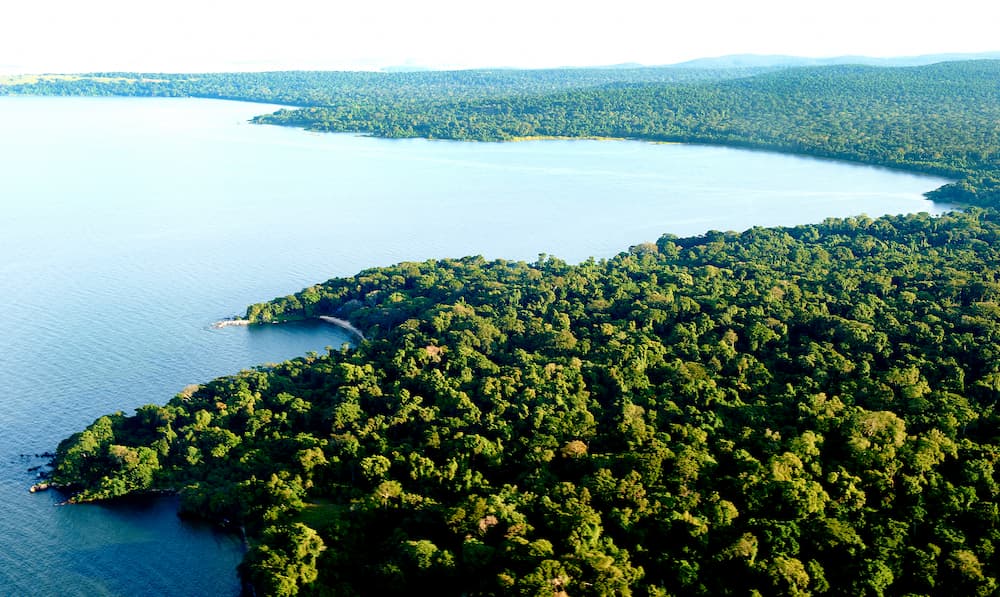 Depuis les airs, il devient clair à quel point l'île de Rubondo est couverte de forêt.
