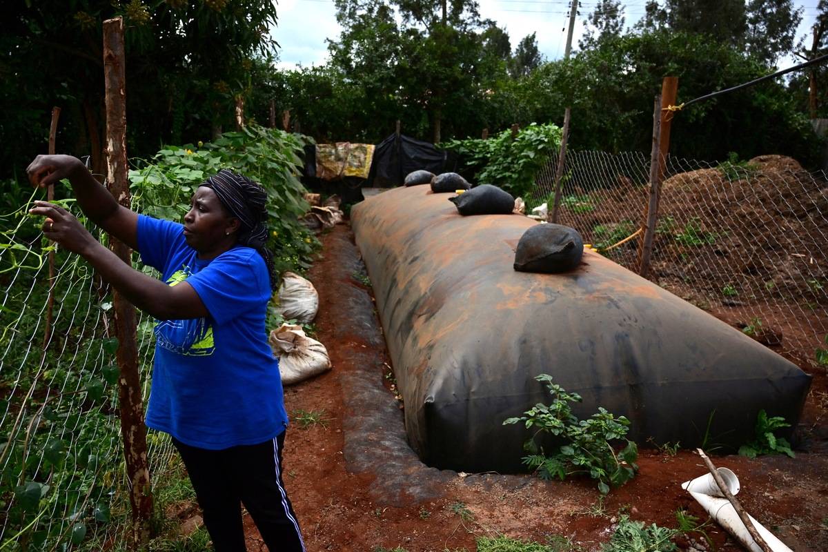 Kenya-agriculture-climate-environment-farming-KENYA-CLIMATE-IPCC