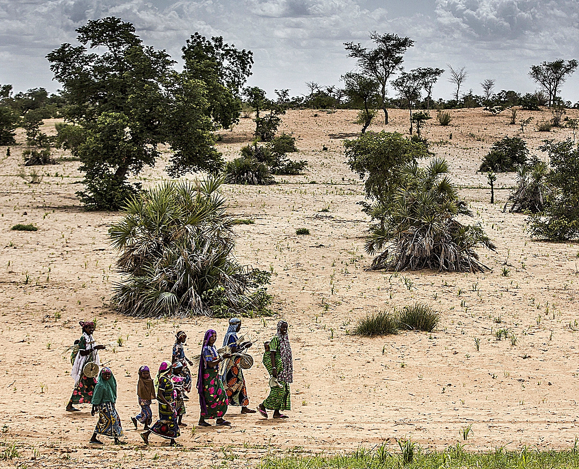 Un groupe de femmes et