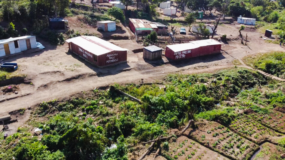 A eKhenana, on compte 109 familles sur deux hectares de terres, dont un dédié à l'agriculture.  Chaque famille dispose d'un petit terrain sur lequel une cabane est construite avec des matériaux recyclés, en mettant l'accent sur les espaces ouverts, les allées et même les places de parking.  Crédit : Nomfundo Xolo.