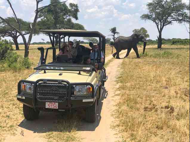 Safari en voiture au Zimbabwe
