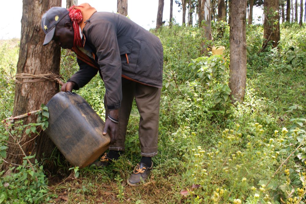 Un local vérifie les navires qui collectent l'eau du brouillard dans le centre du Kenya.  Crédit : David Njagi.
