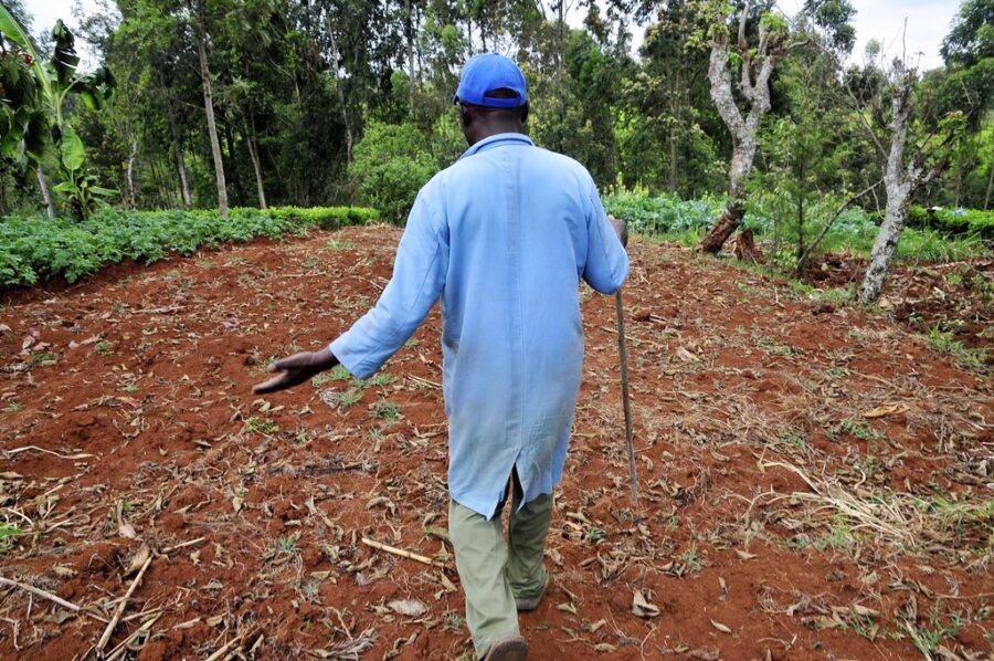 Un projet agricole sur le changement climatique dans la région du Mont Kenya.  Crédit : CIAT/NeilPalmer.