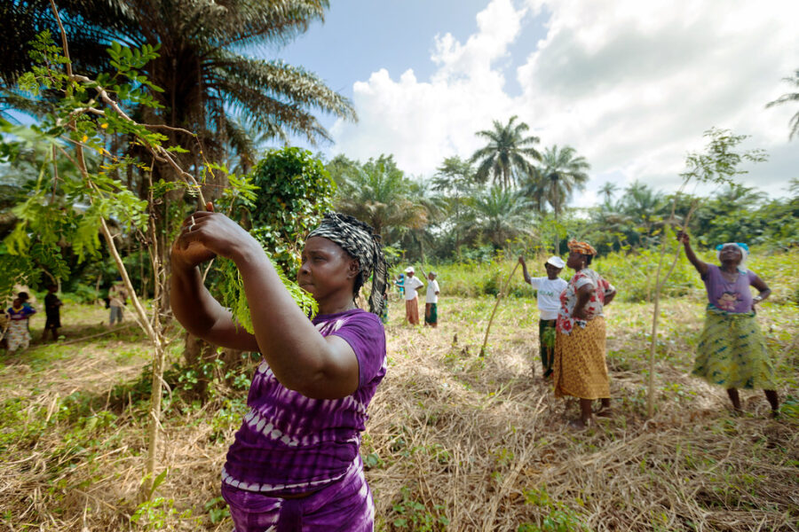 Une nouvelle analyse révèle où va le financement climatique.  Crédit : ONU Femmes/Joe Saade.