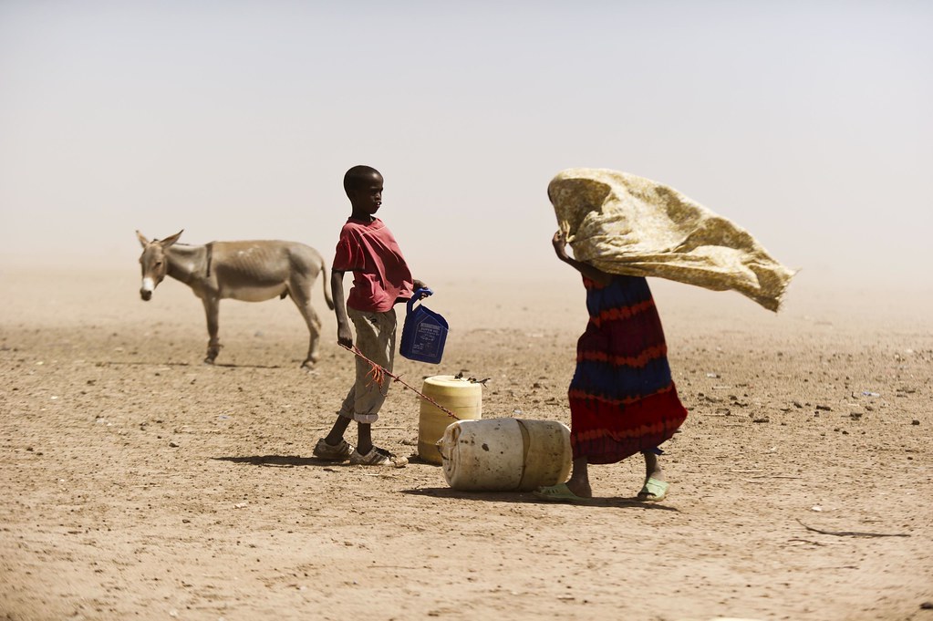 Le changement climatique a entraîné des pertes et des dégâts au Kenya sous la forme de sécheresses, d'inondations et d'autres événements météorologiques extrêmes.  Crédit : Jervis Sundays/Croix-Rouge du Kenya.