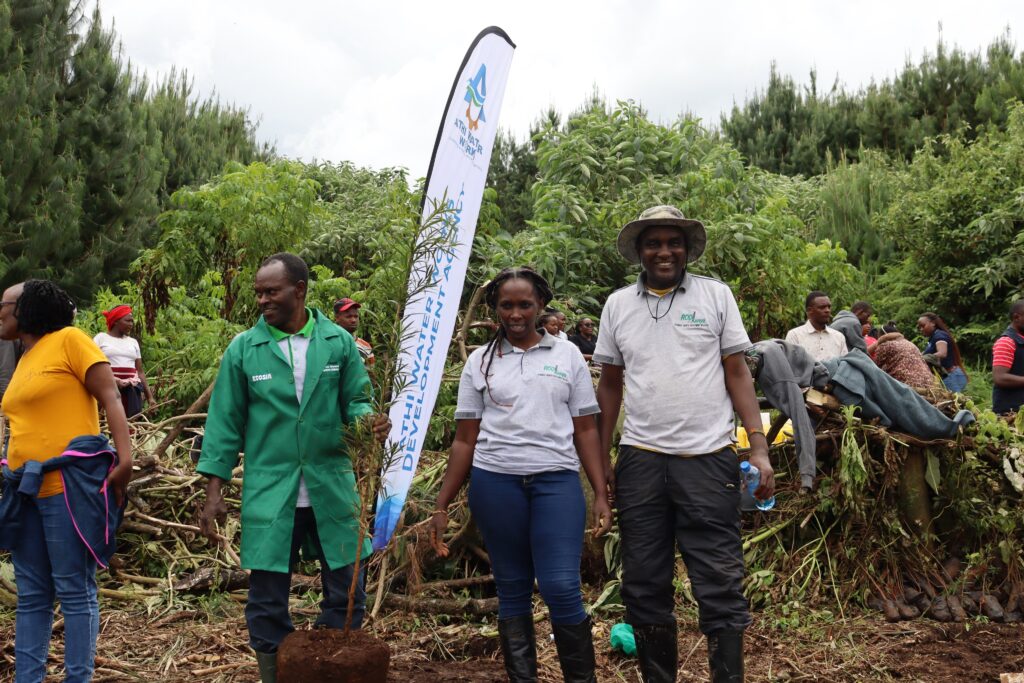 Des organisations comme RODI Kenya, qui forment les agriculteurs à l'agroécologie et produisent des amendements organiques du sol à partir d'ingrédients locaux, montrent des voies alternatives à l'utilisation d'engrais chimiques.  Crédit : RODI Kenya.