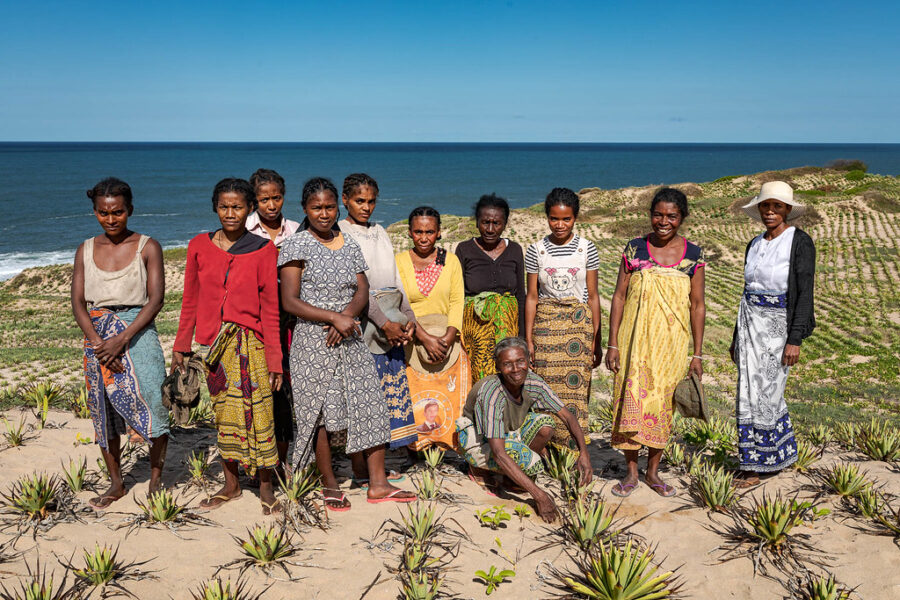 Le G7 peut tirer des leçons des exemples d’initiatives alimentaires et agricoles à Madagascar.  Crédit : Antoine Tardy/UNDRR.