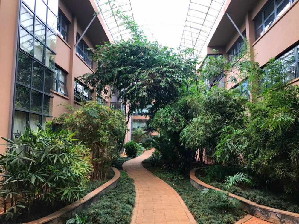 Les éléments verts du siège du Programme des Nations Unies pour l'environnement à Nairobi sont, comme les toits verts, parmi les plus innovants du pays.  Crédit : Programme des Nations Unies pour l'environnement.