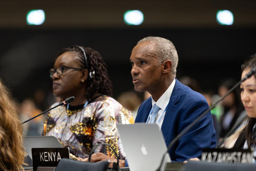 Ali Mohamed, président du Groupe africain de négociateurs (AGN) lors des négociations sur le climat à Bonn en juin 2024. Crédit : IISD/ENB - Kiara Worth.