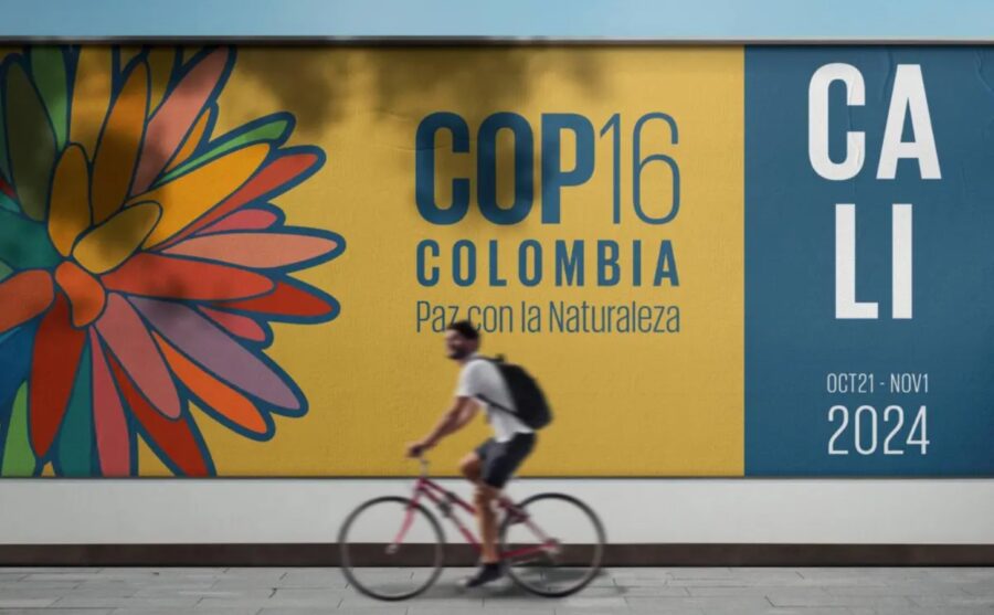 Les chefs d'État et les ministres du monde entier se réuniront du 21 octobre au 1er novembre à Cali, en Colombie, pour le sommet sur la biodiversité COP16. Crédit : COP16.