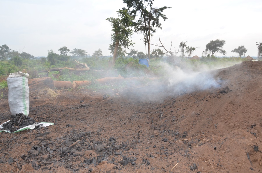 Brûler du charbon de bois au milieu de la réserve forestière centrale du mont Kei, dans le district de Yumbe, au nord de l'Ouganda. Crédit : John Okot.