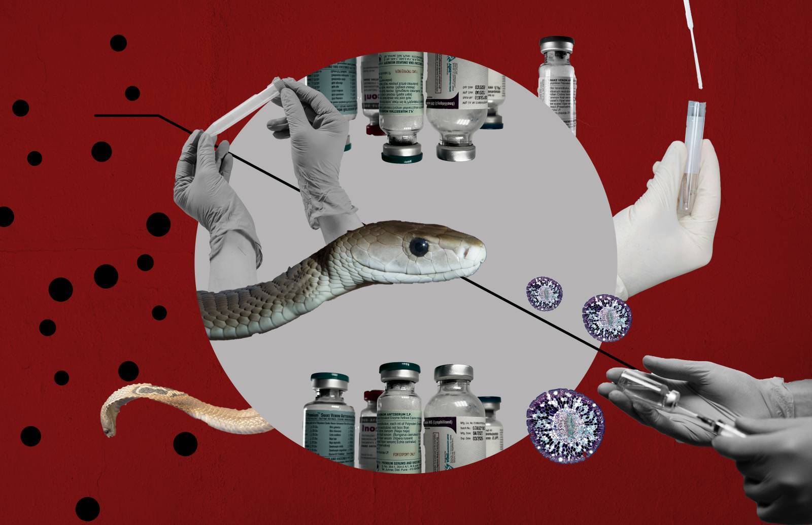 Tbij Snake Venom 3 Copy(1) (1)