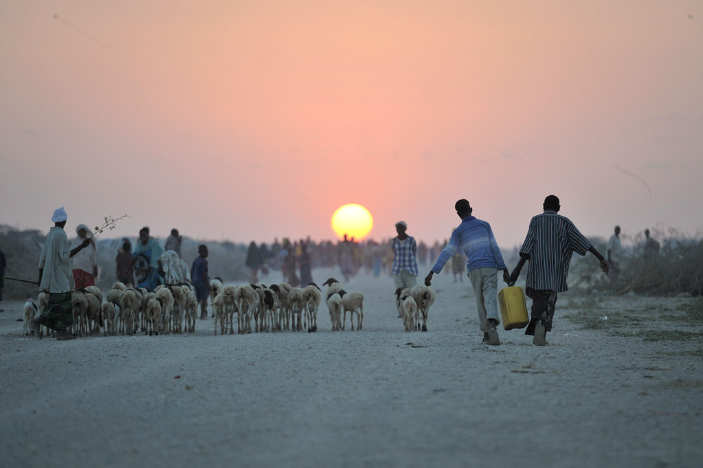 Dette africaine. Photo Amisom / Tobin Jones