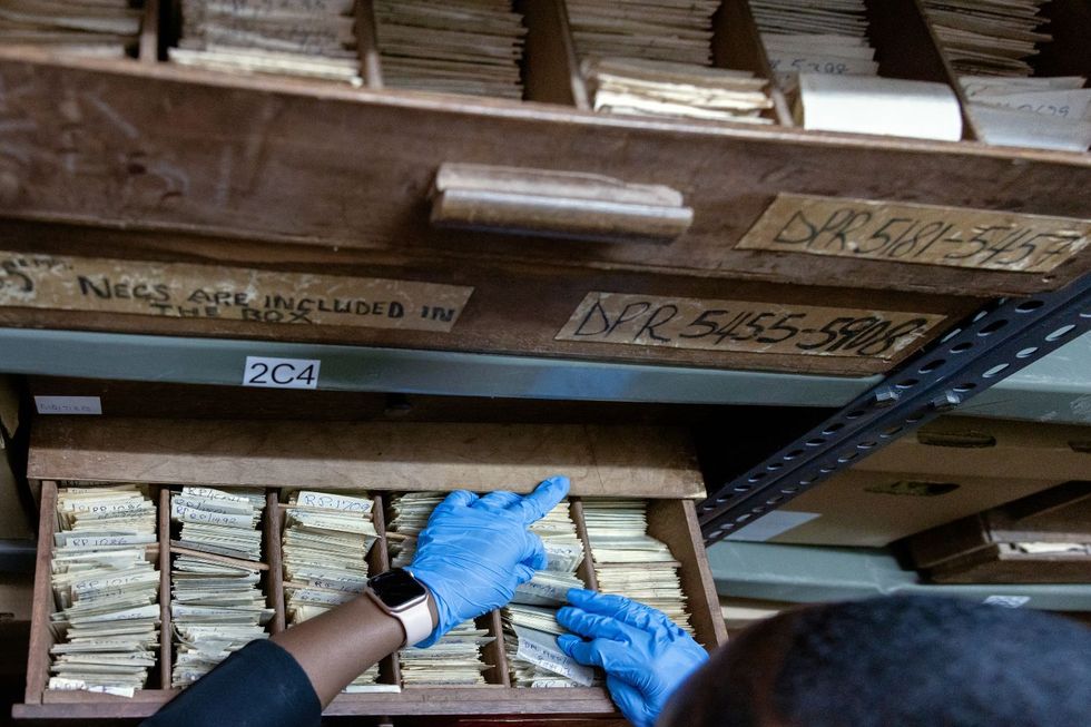 Une photo rapprochée de quelqu'un qui a traversé une boîte en bois.
