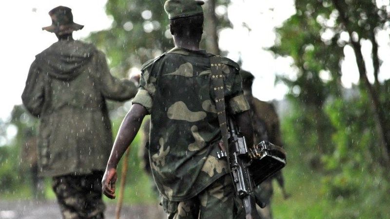 Diplomats: Drc