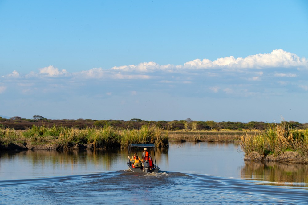 Invités naviguant dans les zones humides d'Usangu, parc national de Ruaha, Tanzanie.