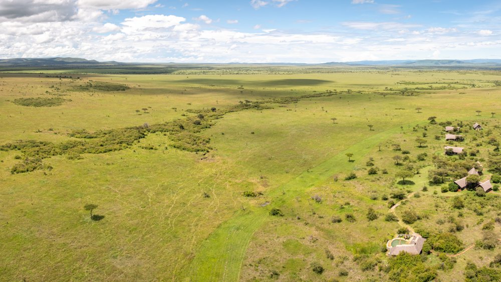 Conservatoire Mara Naboisho, Kenya
