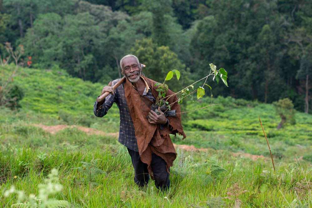 Un Batwa impliqué dans le projet de reboisement d’Erebero Hills, en Ouganda.