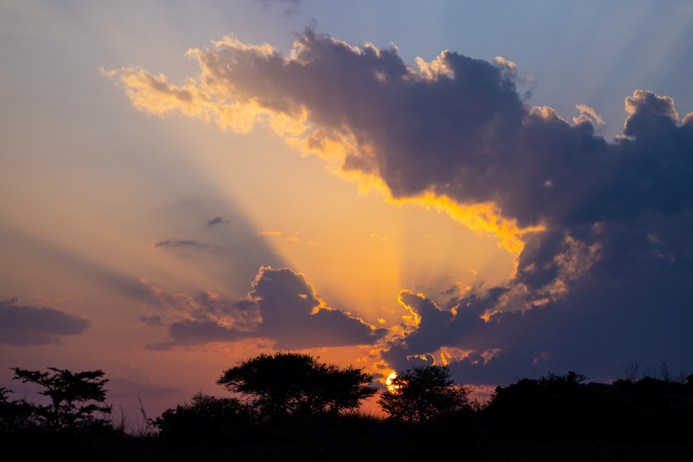 Lever du soleil sur le parc national de Tarangire, en Tanzanie.