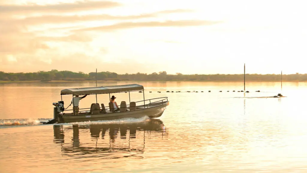 Safari en bateau en Tanzanie