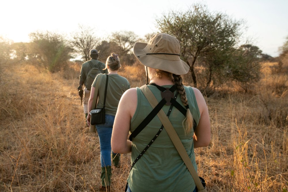 Un safari à pied dans le parc national de Tarangire, en Tanzanie.