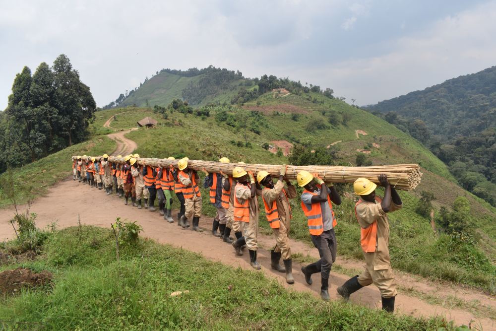 Ouvriers transportant une poutre fendue, Ouganda.