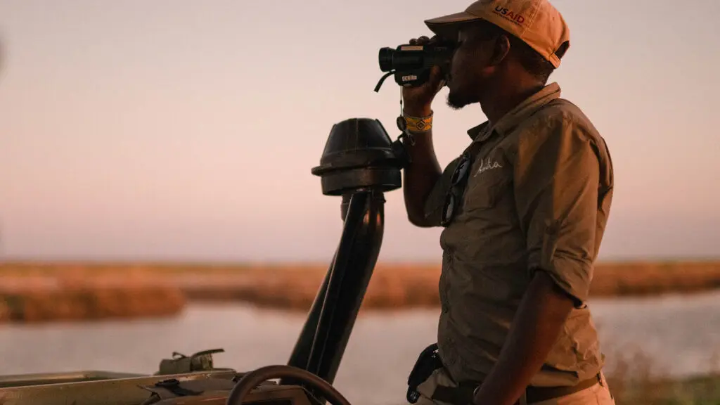 Guide de safari scrutant la savane avec des jumelles au coucher du soleil, à la recherche d'animaux sauvages