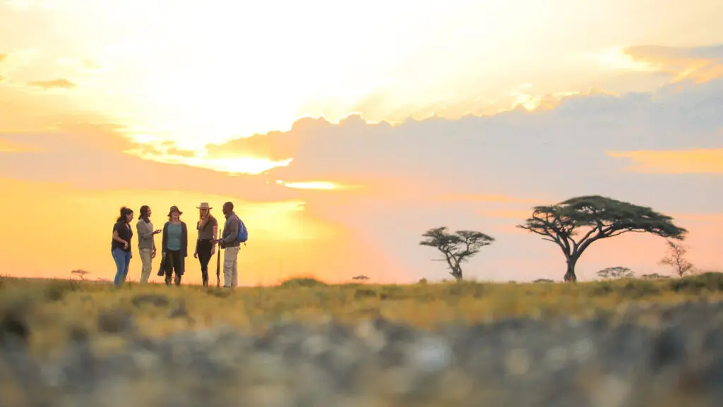 Invités en safari à pied au coucher du soleil dans le Masai Mara