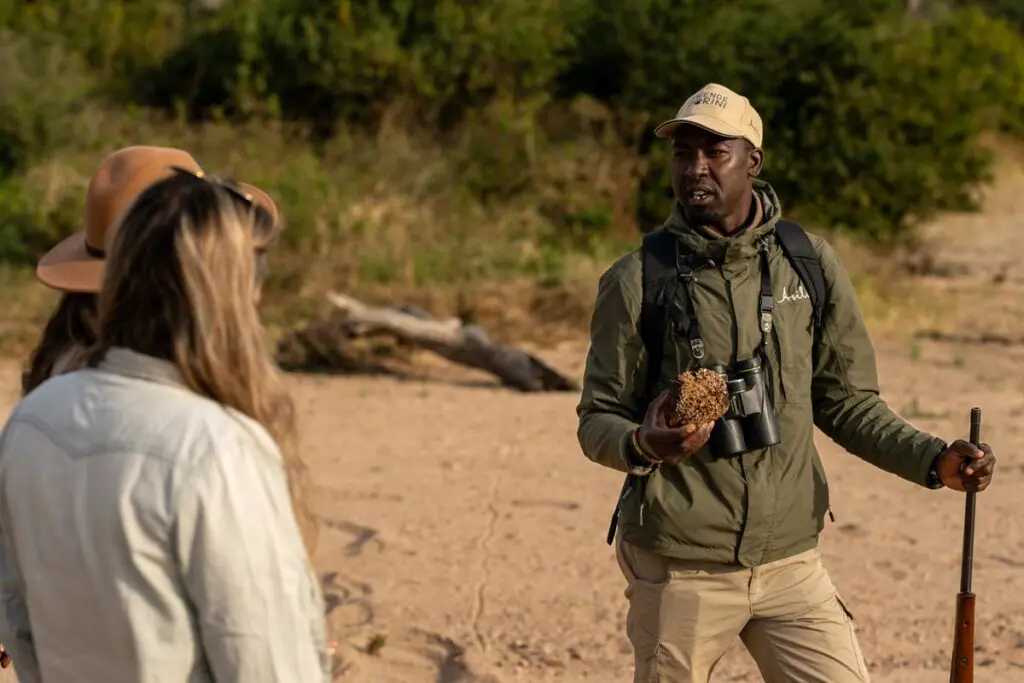 Un guide partage sa sagesse avec les invités lors d'un safari à pied