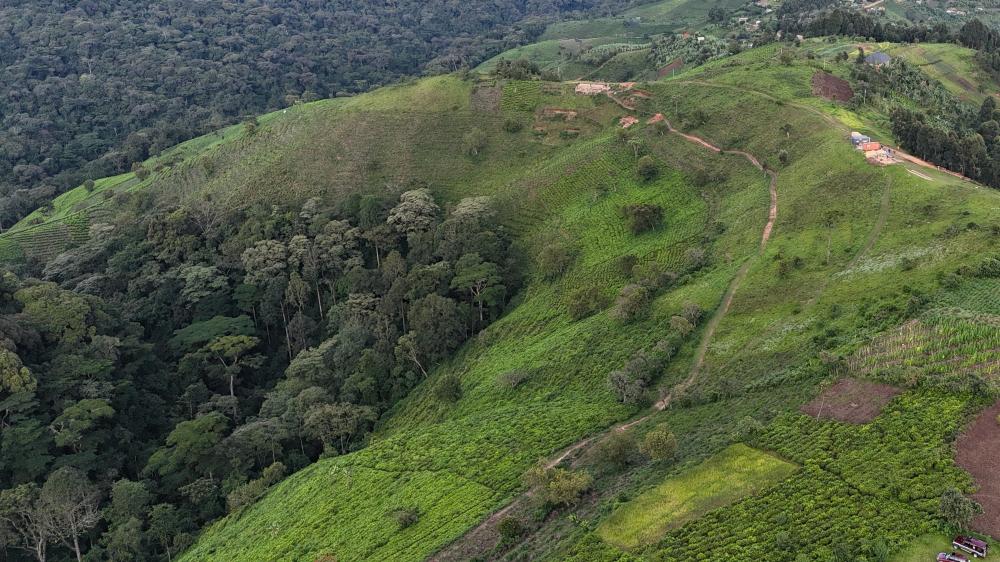 Le site des collines d'Erebero, forêt impénétrable de Bwindi, Ouganda.