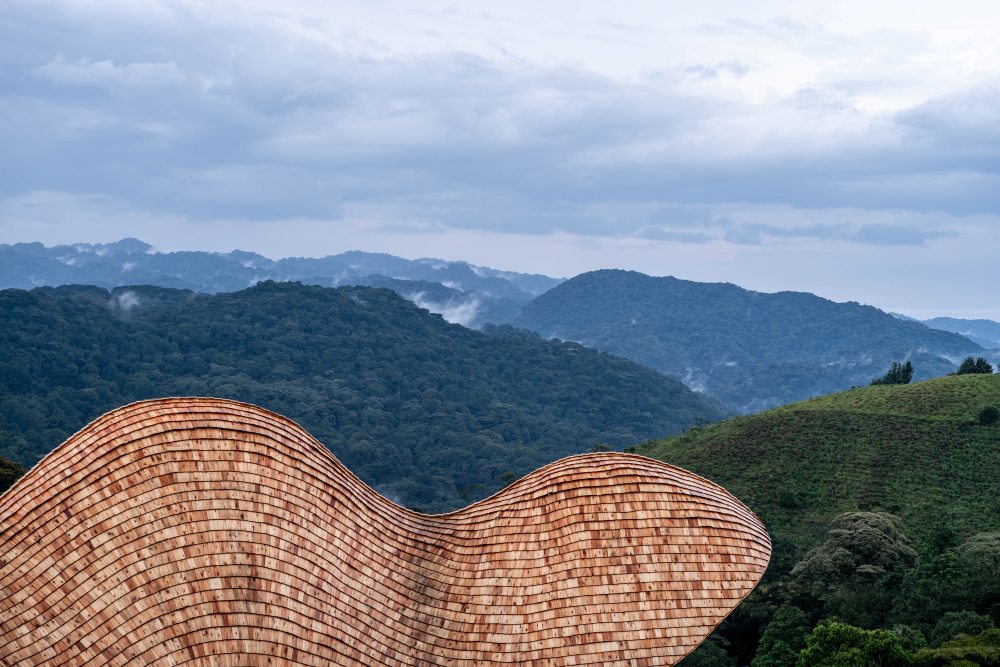 Vue sur un toit jusqu'à la forêt de Bwindi, au-delà, en Ouganda.