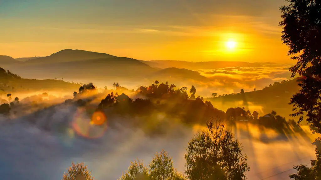 Les montagnes boisées de l'Ouganda