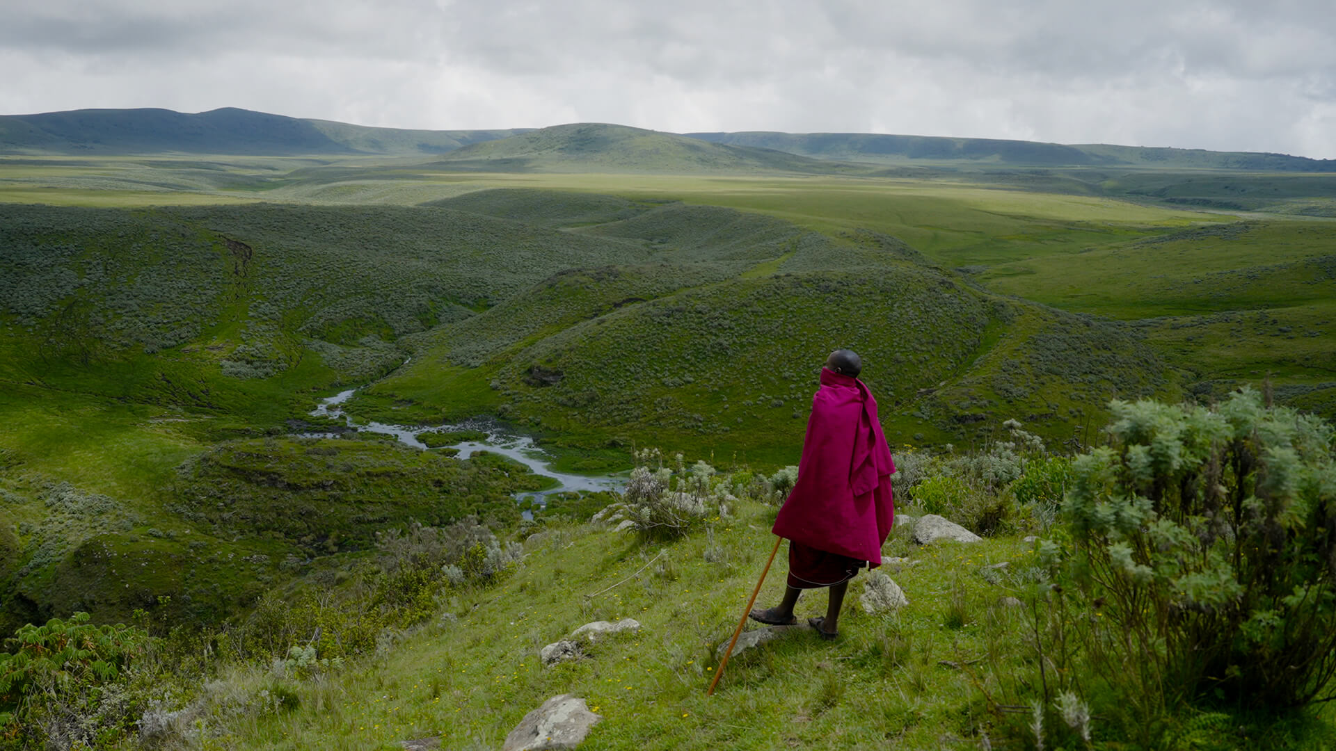 Un berger Massaï étudie le paysage vallonné de l’Afrique de l’Est
