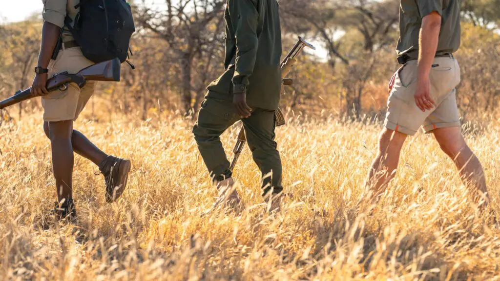 Safari à pied en Asilia Tanzanie 6