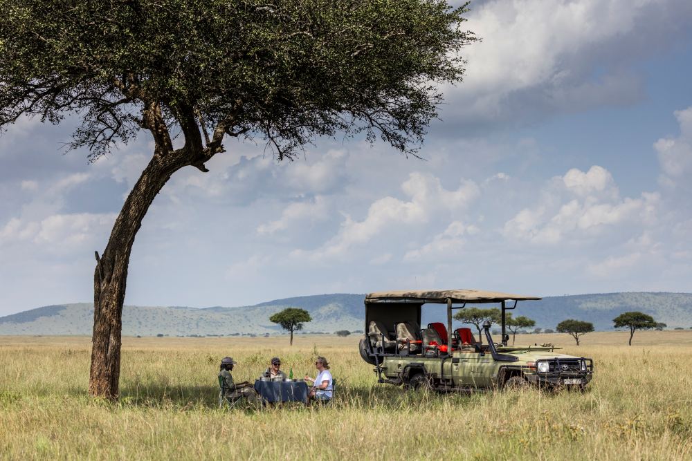 Un couple profite d'un pique-nique sans aucun autre véhicule en vue, parc national du Serengeti