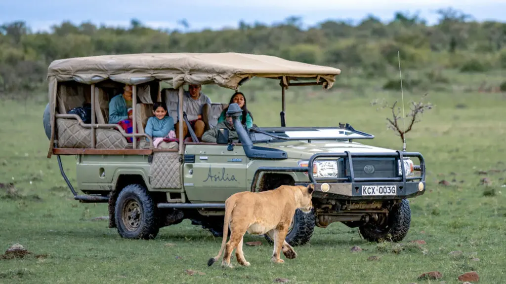 Une famille côtoyant une lionne lors d'un safari dans le Serengeti