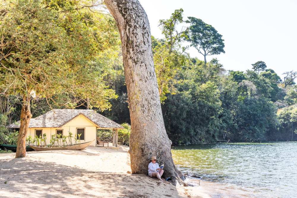 Une femme est assise sous un arbre sur la rive du lac Victoria, au camp de l'île Rubondo, en Tanzanie.