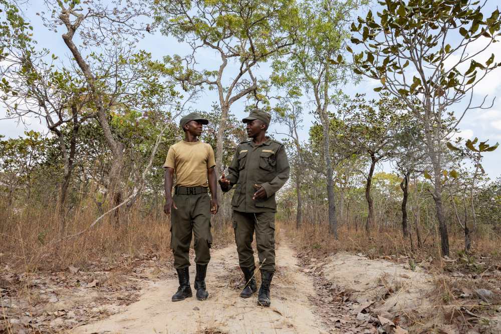 Rangers en patrouille dans une WMA dans le sud de la Tanzanie.