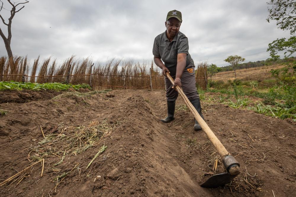 Une agricultrice laboure son champ avant de planter, dans le sud de la Tanzanie.
