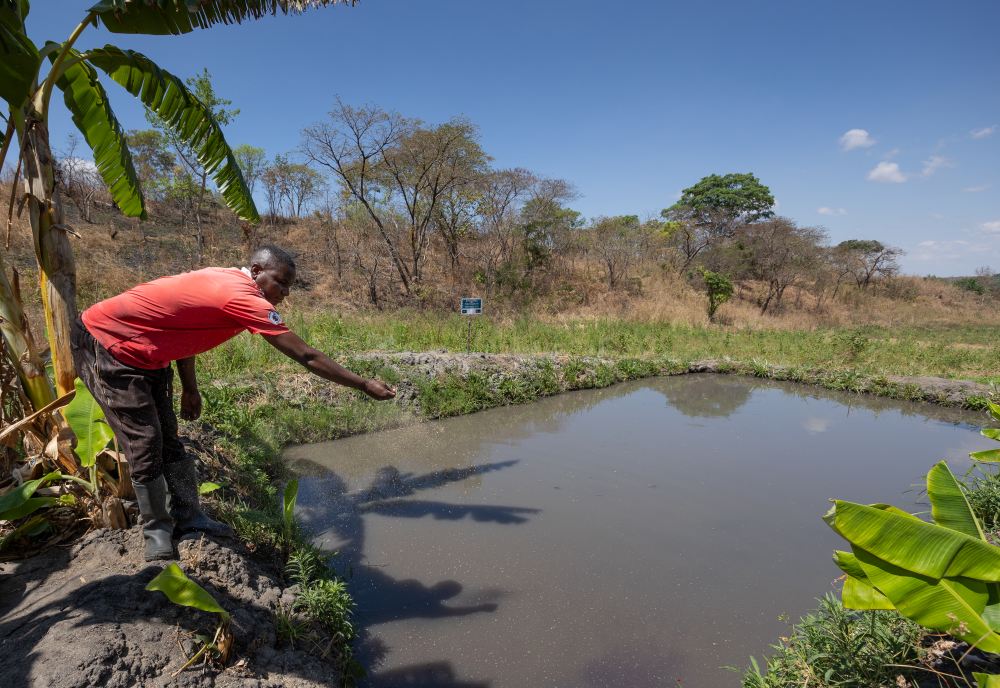 Un agriculteur nourrit ses poissons, dans le sud de la Tanzanie.