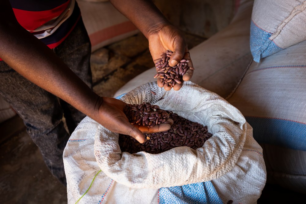 L'augmentation du rendement des agriculteurs de subsistance est un élément crucial de réussite, dans le sud de la Tanzanie.